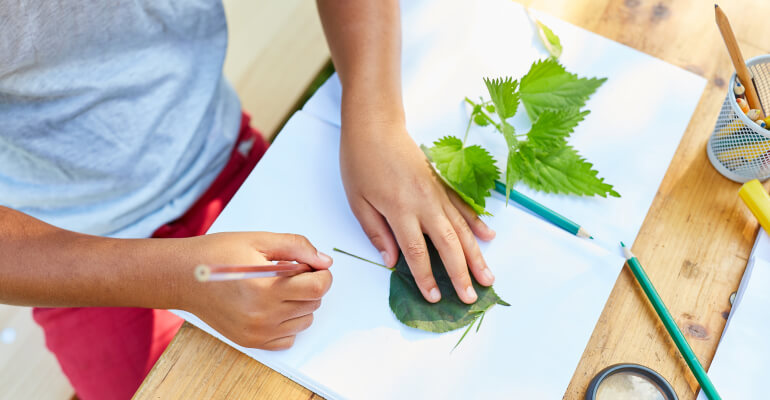 7 Fall STEM Activities for Kindergarten through 5th Grade