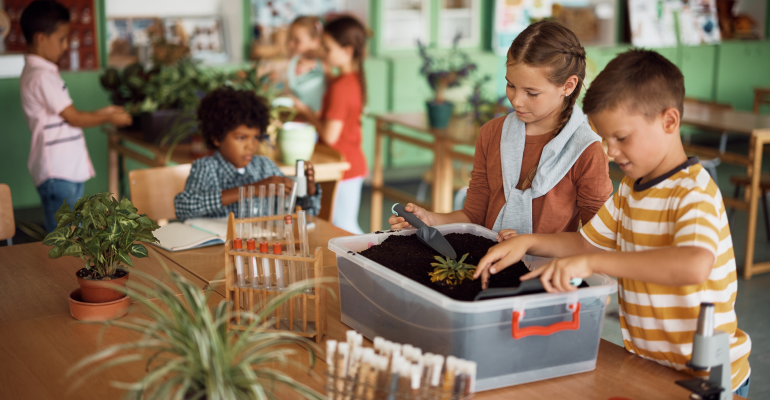 STEM science projects designed for first grade classrooms works best with a structured and comprehensive curriculum.