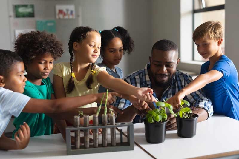 Elementary School Students Learning About Plant Biology